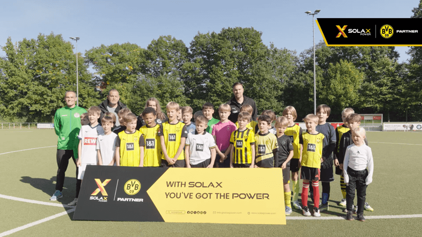 1763087481341435.png SolaX Power Clean Energy and Community-1.png