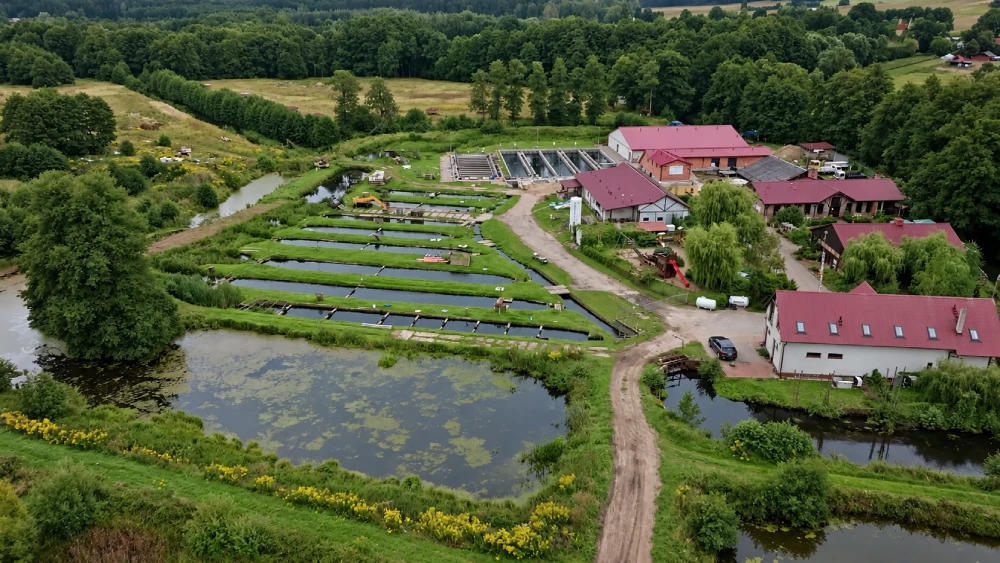 Rybajka Fish Farm Rybajka Fish Farm
